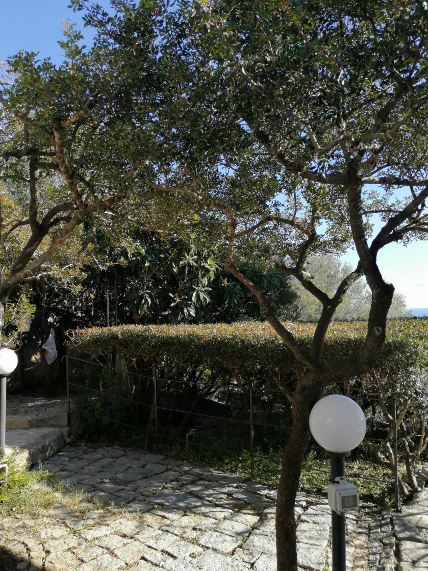 Sa Domu De Orri Al Mare Villa Tortoli Exterior photo